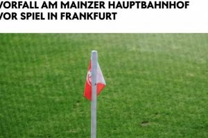 美因茨官方：谴责球迷袭击警察的行为，可能对涉事者采取制裁措施